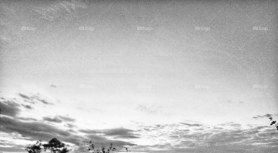 Editors'  Choice: Photo of the Week