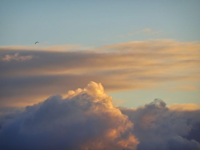 Colourful sky 