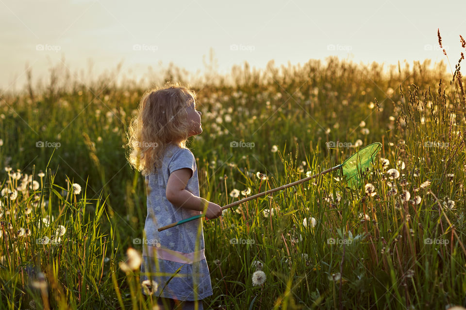 girl catches butterflies in the field