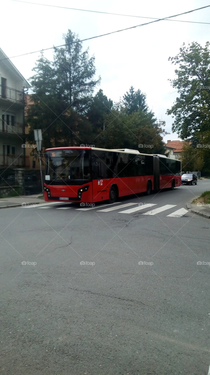 Serbia Belgrade bus