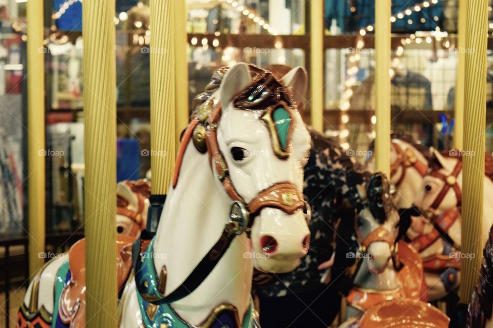 Carousel Fun at Ober 