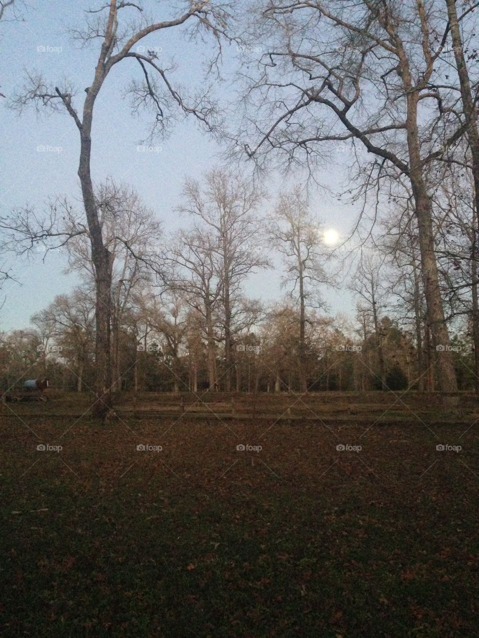 Full moon in early evening. 