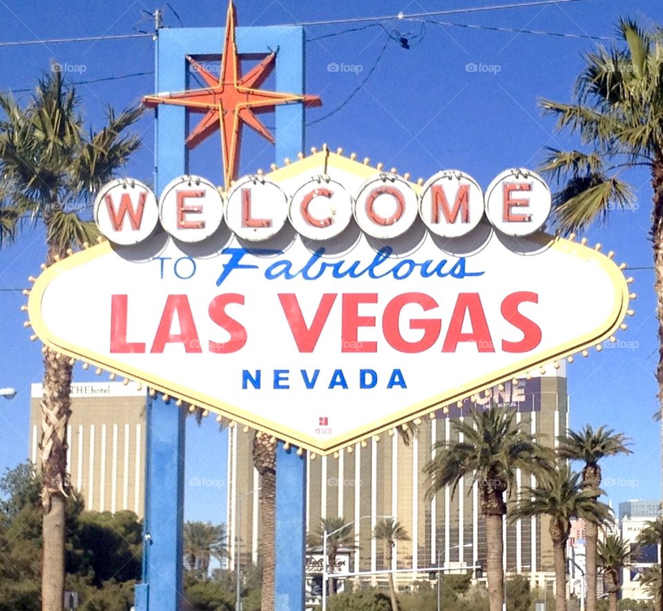 Let the Vacation Begin!