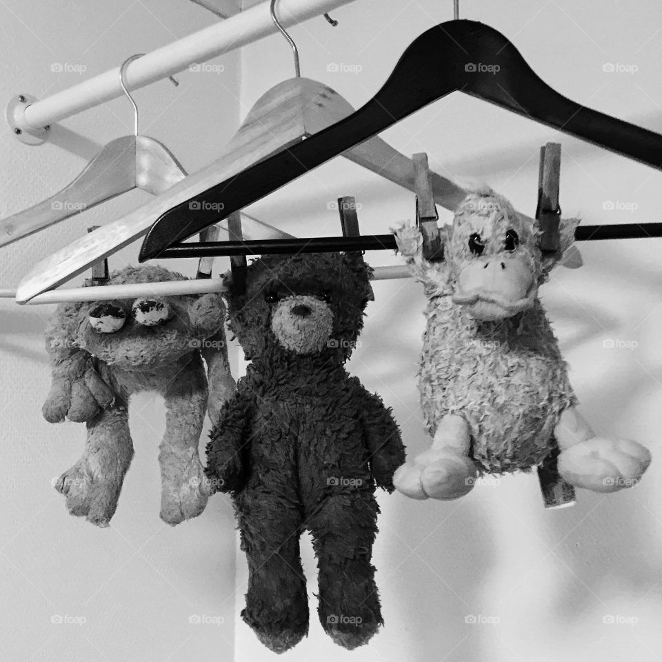 Stuffed animals. Cheer up guys! You had to take a shower at some point. From left: Frosken, Teddy & Andy.