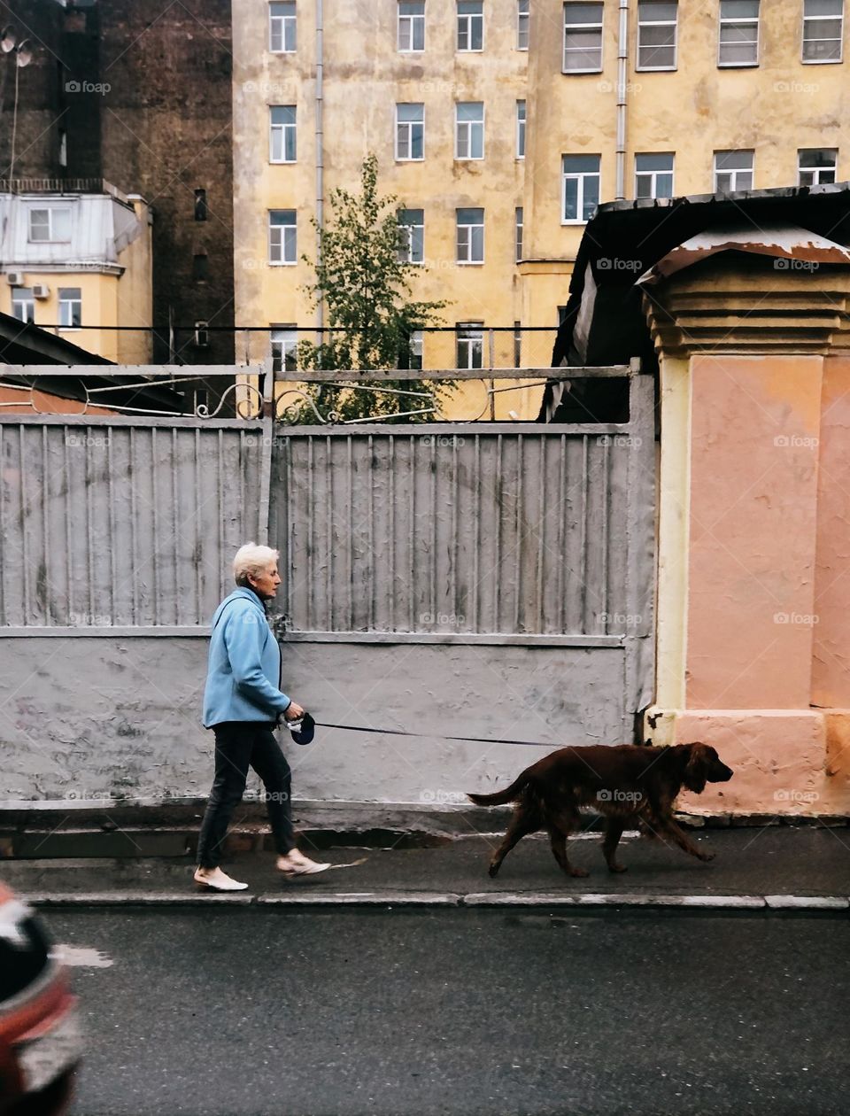 Adult woman walking with dog in city