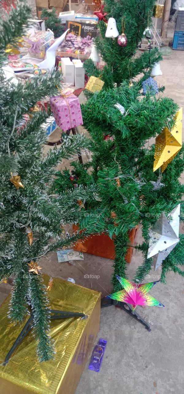 trees okay shorter than me 😏❤️✨