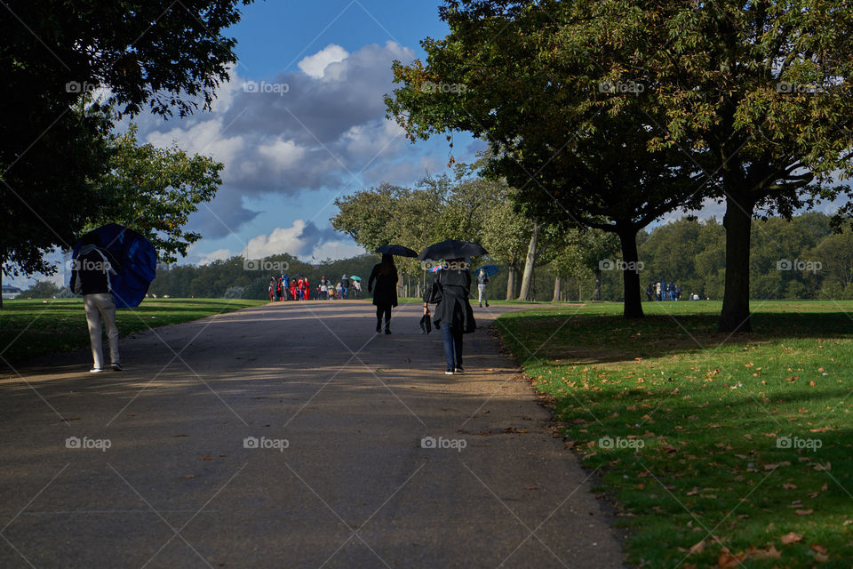 Autumn contrast 