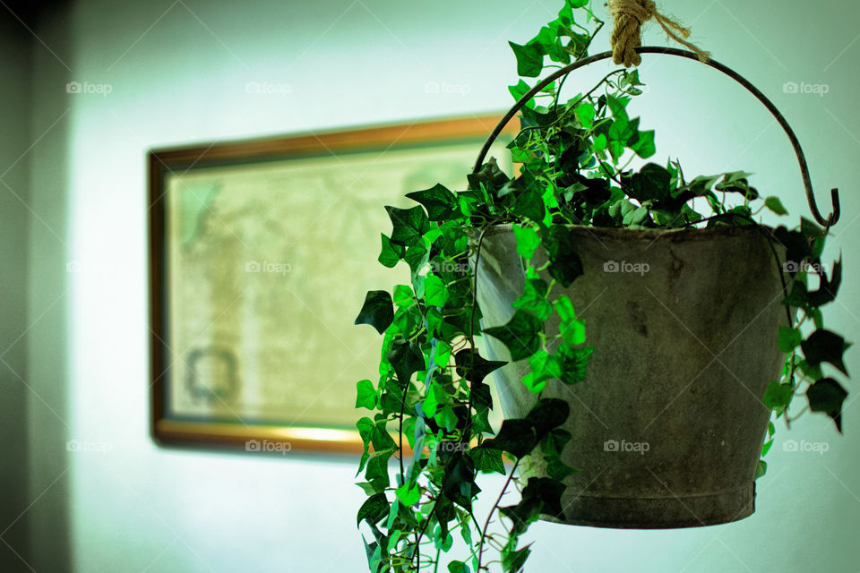 Exploring Camino Frances