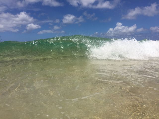 Wave at Waimea