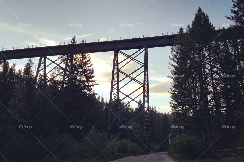 Railway Trestle