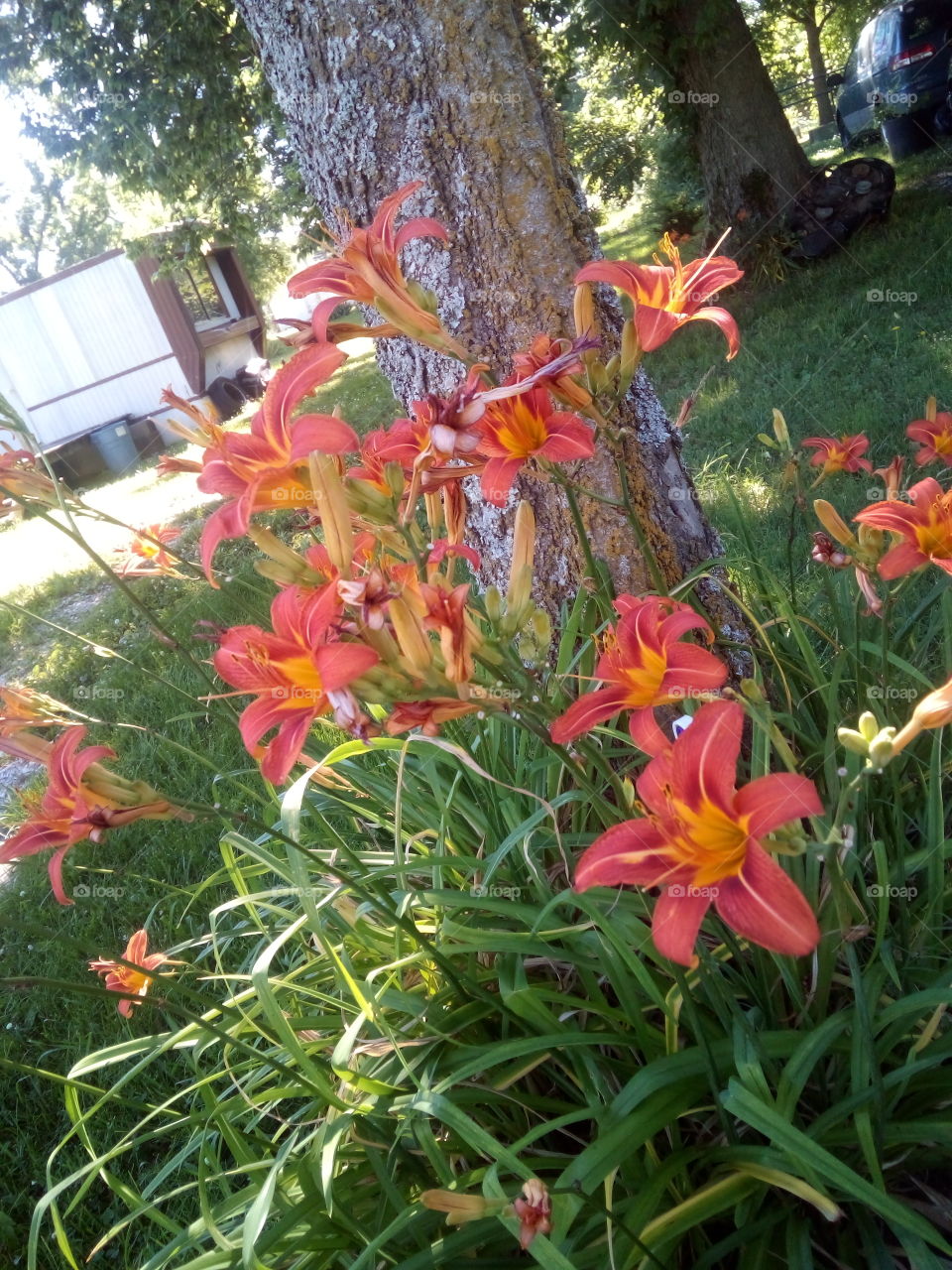 may your life be so colorful, full of joy peace and happiness plant the right seeds and your life will bloom.