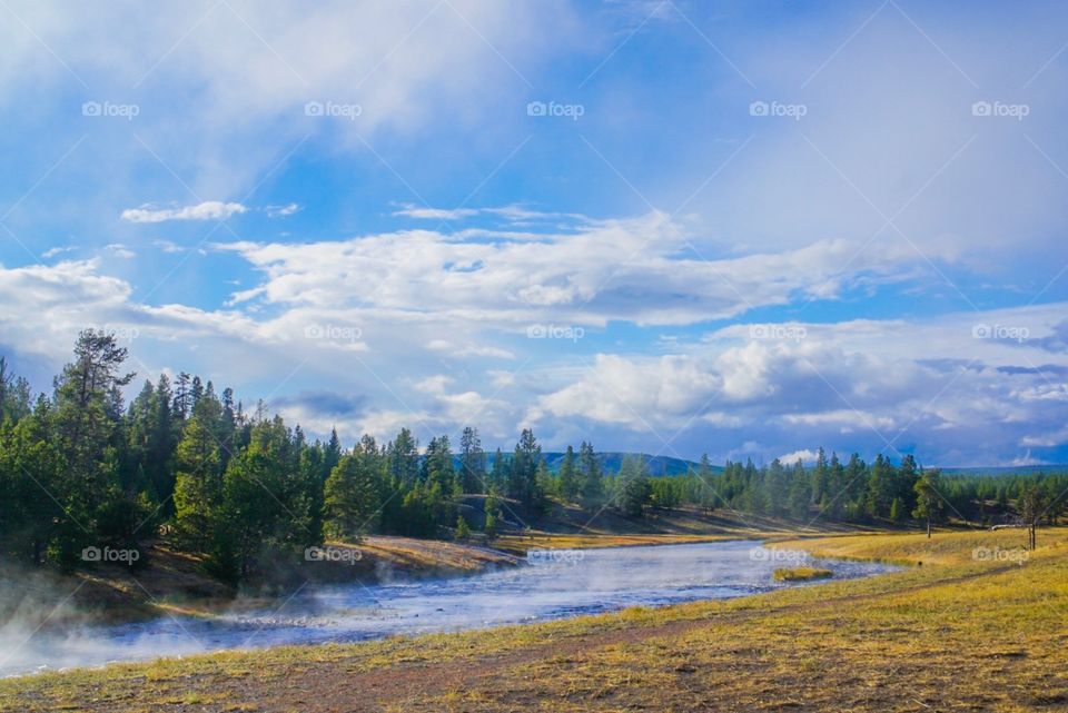 Yellowstone Landscape