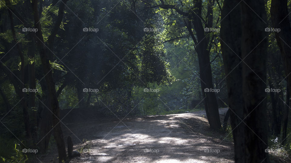 The journey to capture light in a small rectangle continues.