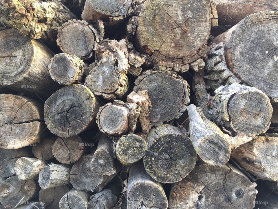 The ends of cut logs for firewood in a woodpile