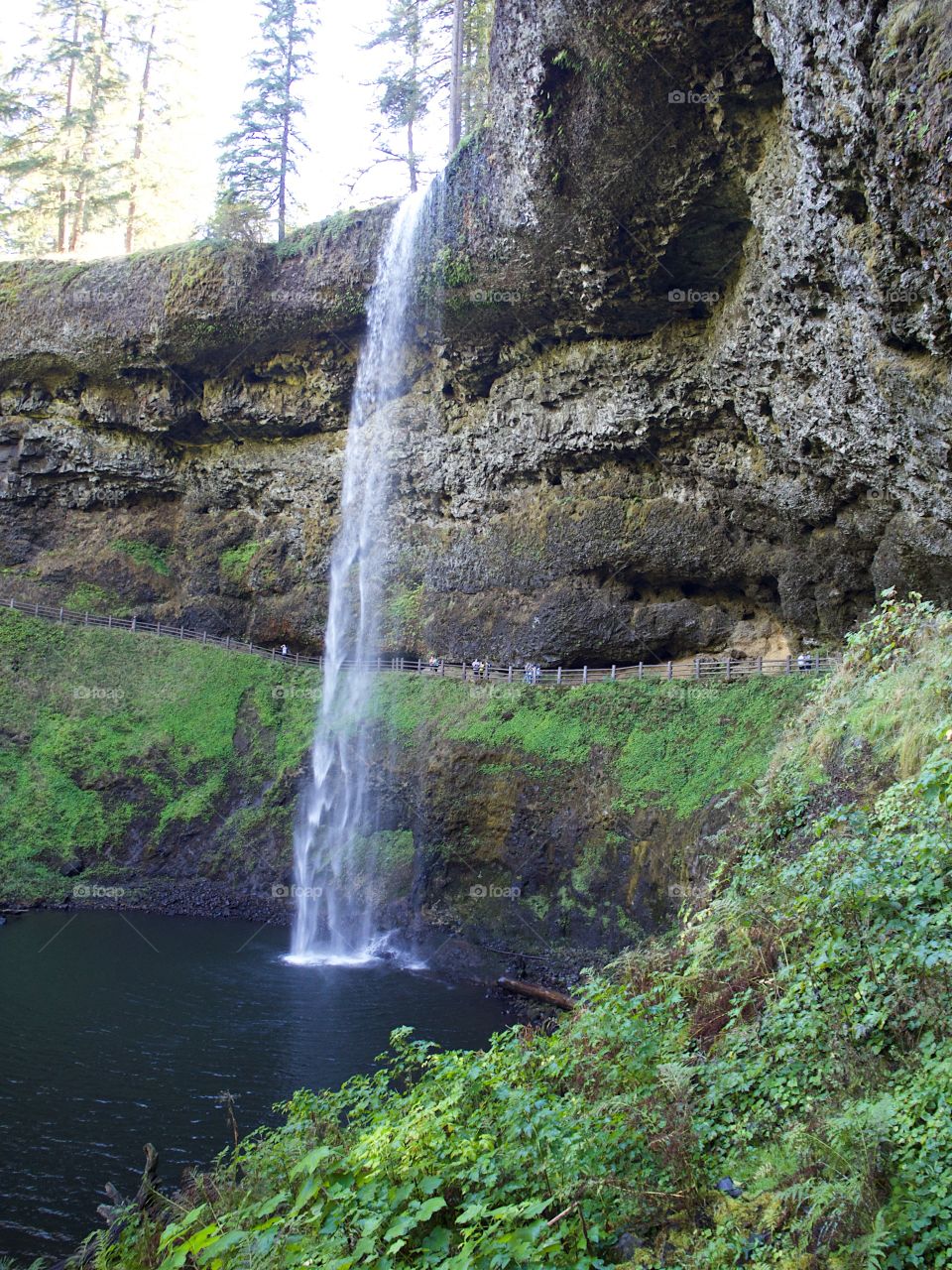 South Falls in Silver Falls State Park in Western Oregon goes over its textured cliff on a fall day. 