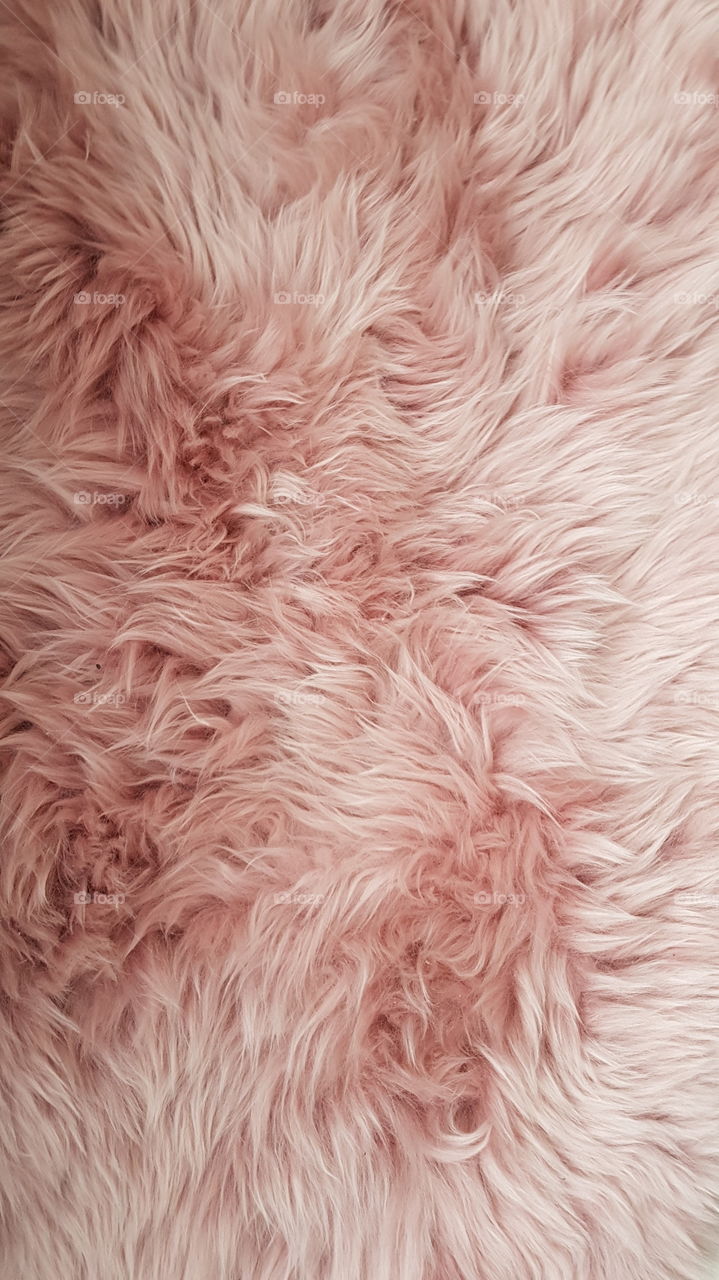 pink wool