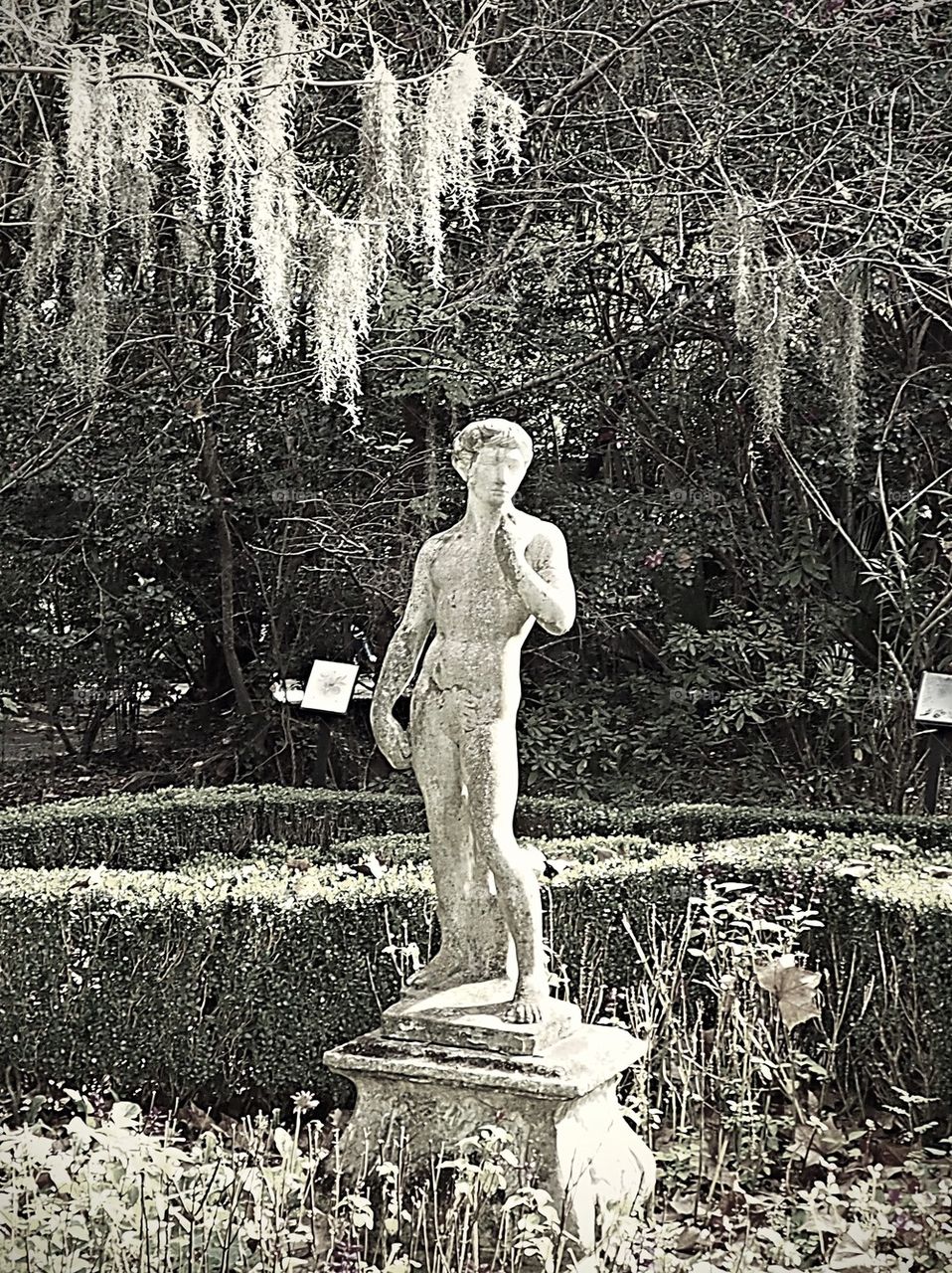 Contemplation in the Garden