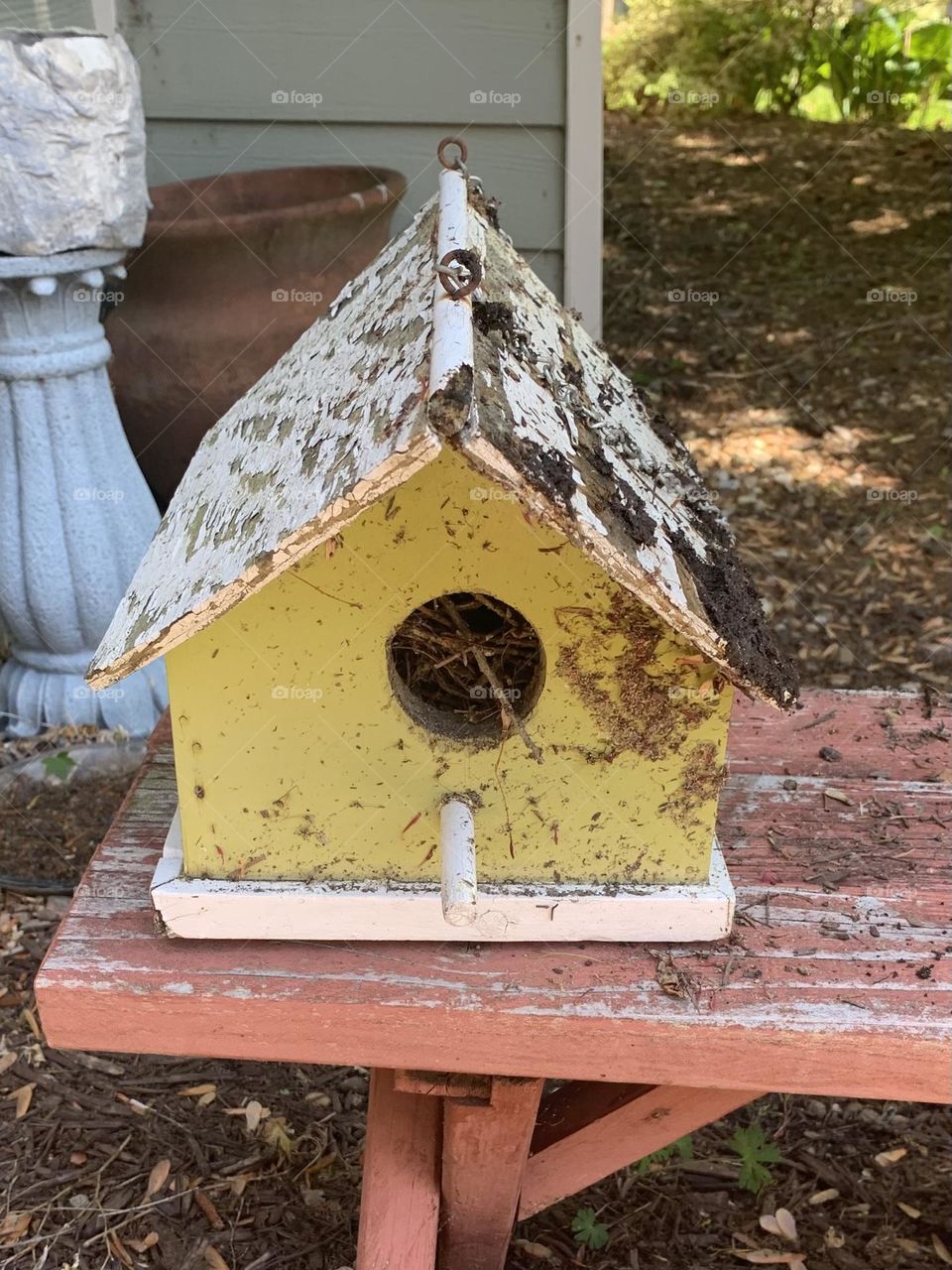 Birdhouse 