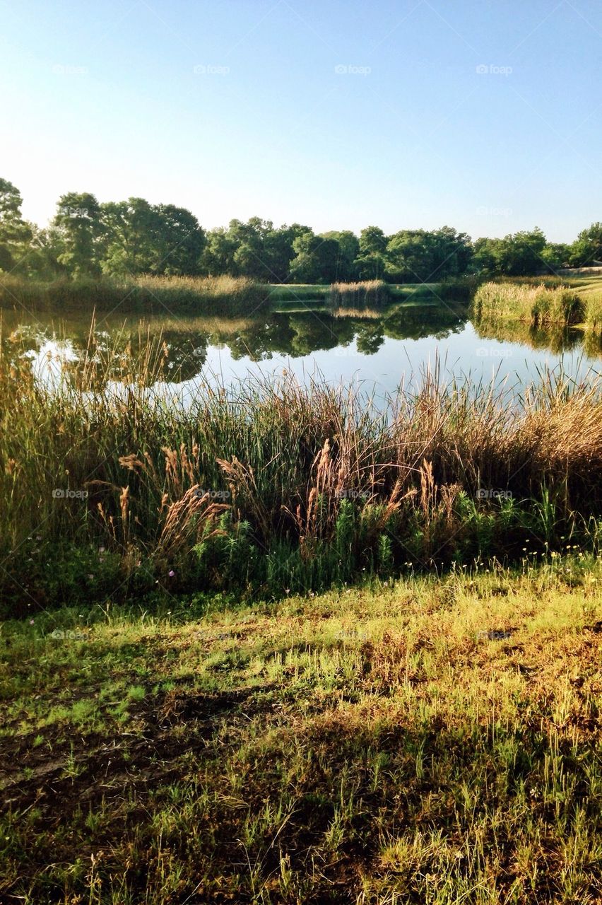 Reflective Pond