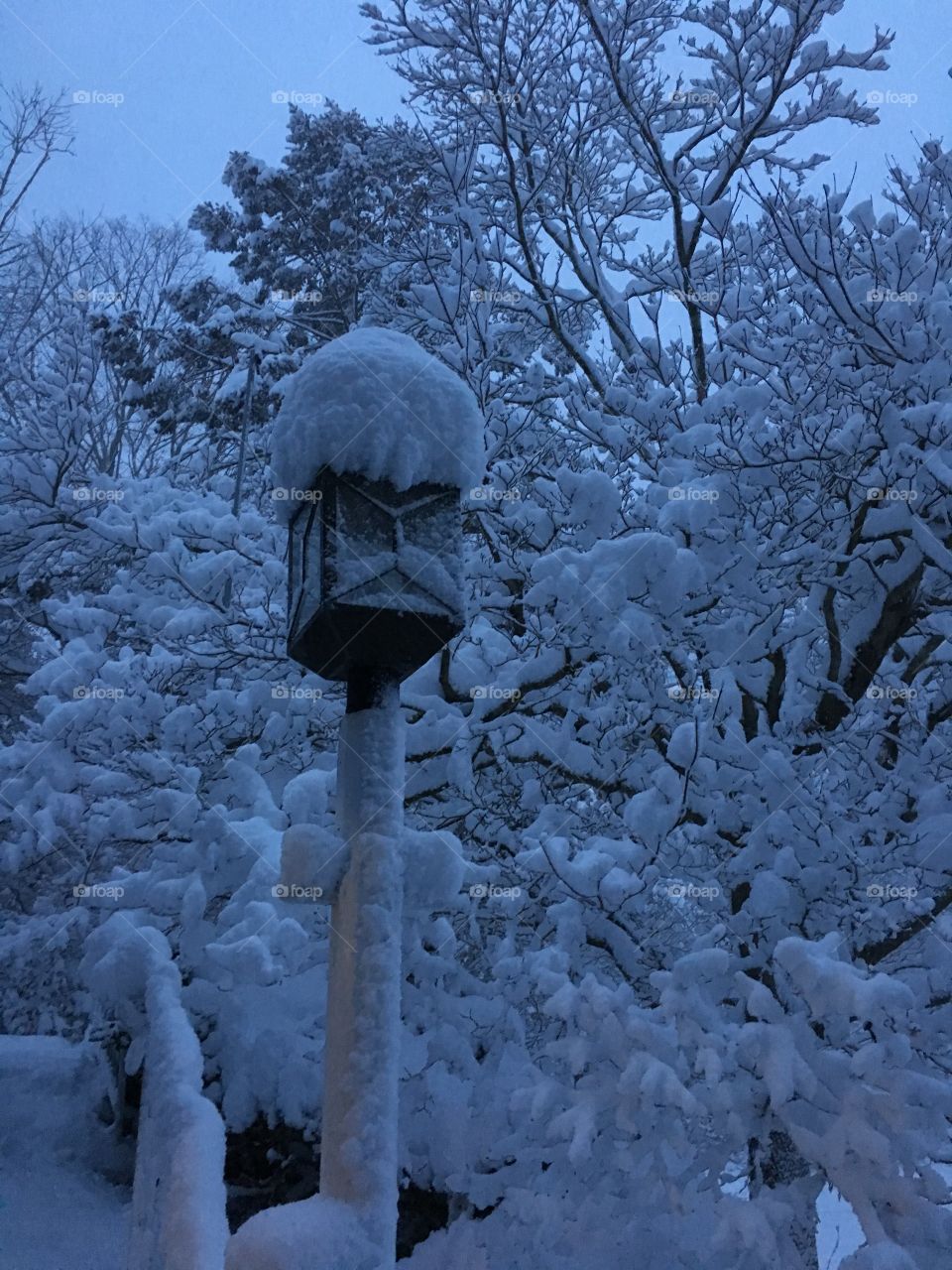 Snowstorm in CT at dusk