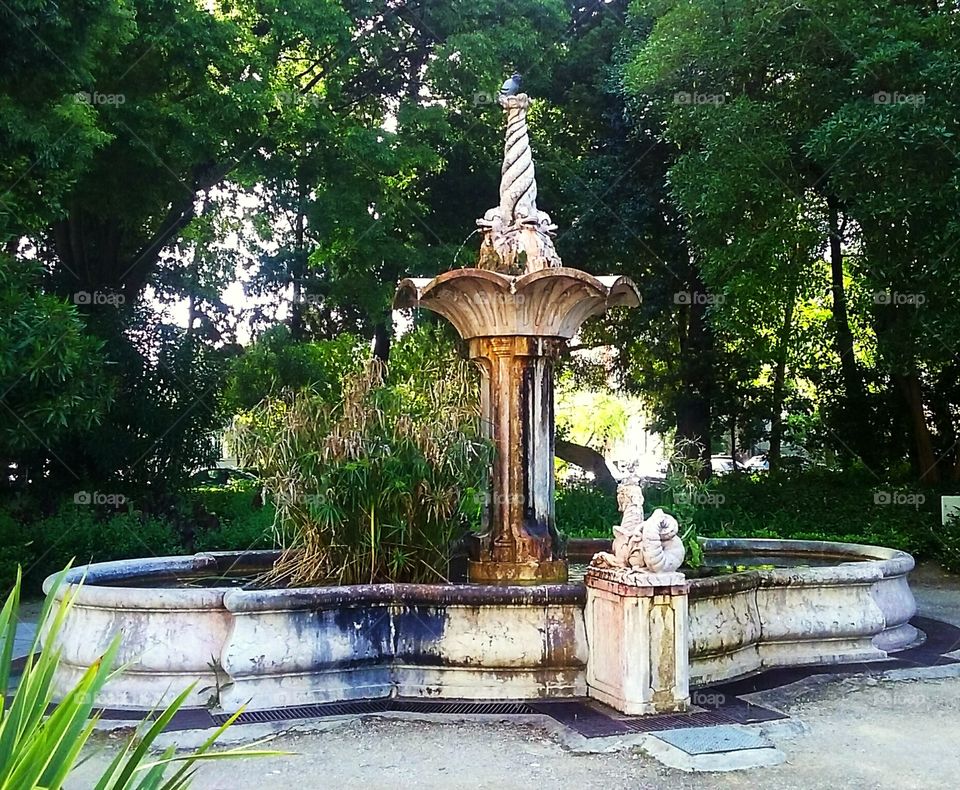 Fountain...