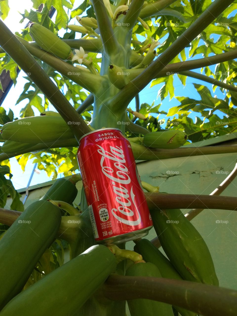 welcome foap Coca cola