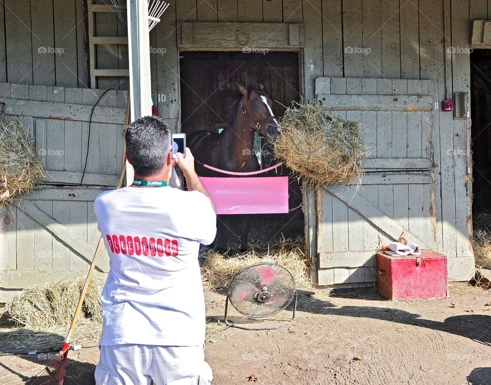 Photographing A Racehorse. Fleetphoto on the backstretch photographing a thoroughbred in his stall atHorse Haven Saratoga.
Zazzle.com/Fleetphoto