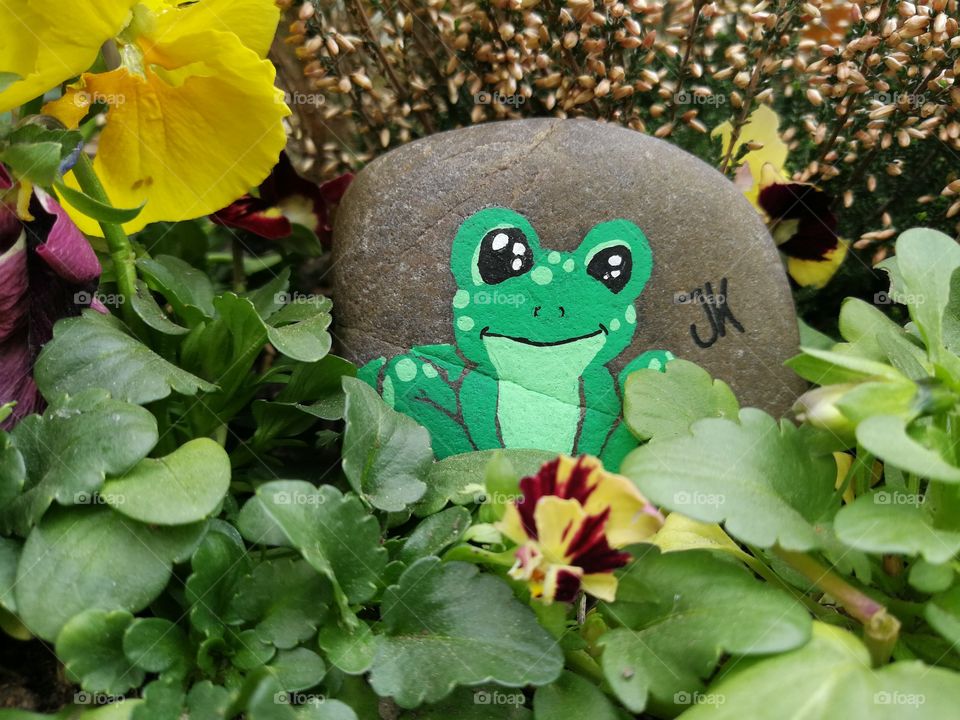 Stone Frog