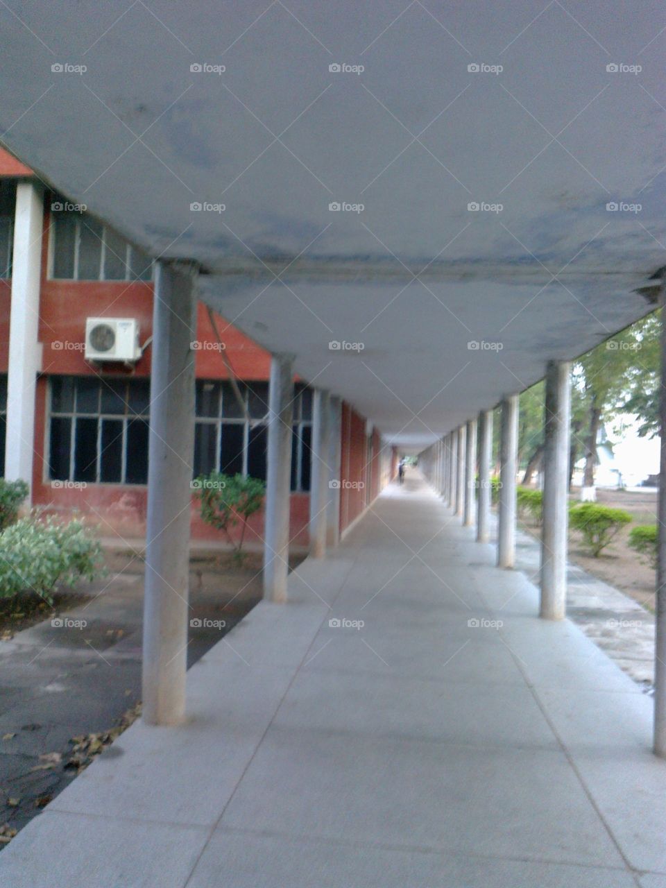 Punjabi University, Patiala.