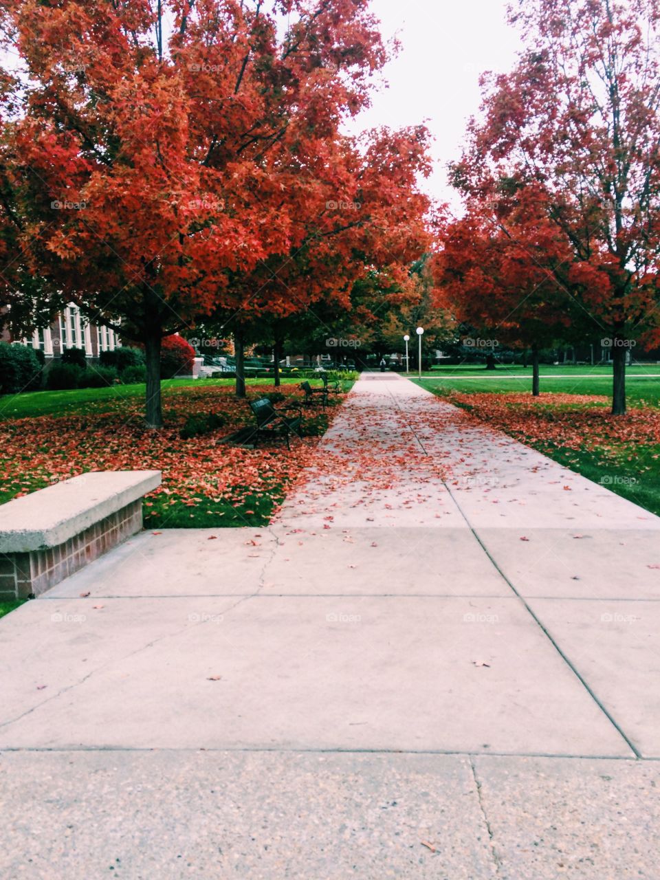 Fall campus