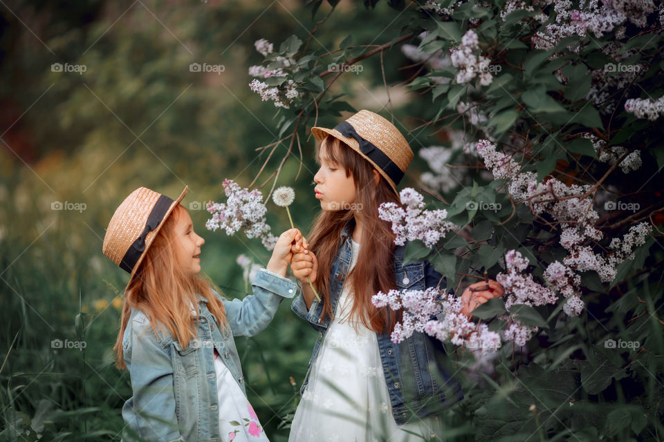 Little sisters in a hat near blossom lilac tree at sunset 