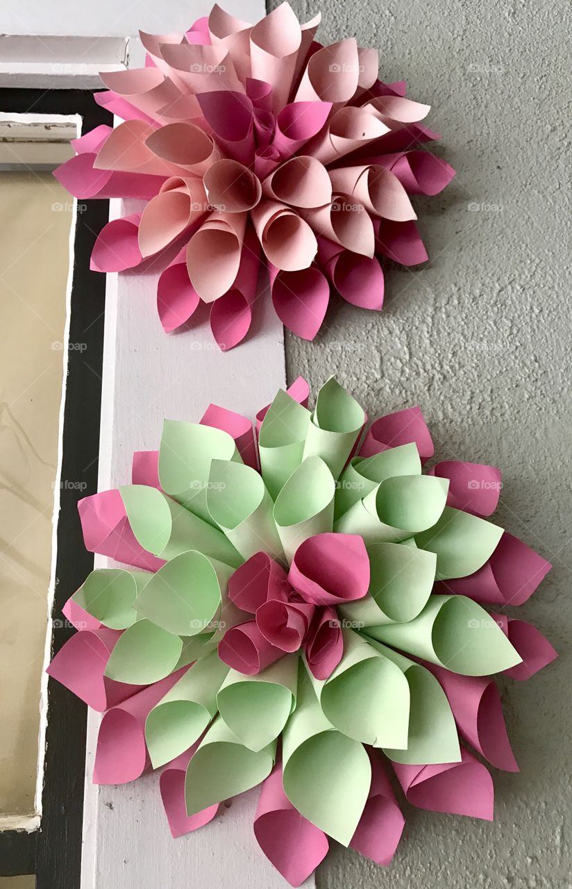  Close-Up Paper Flowers