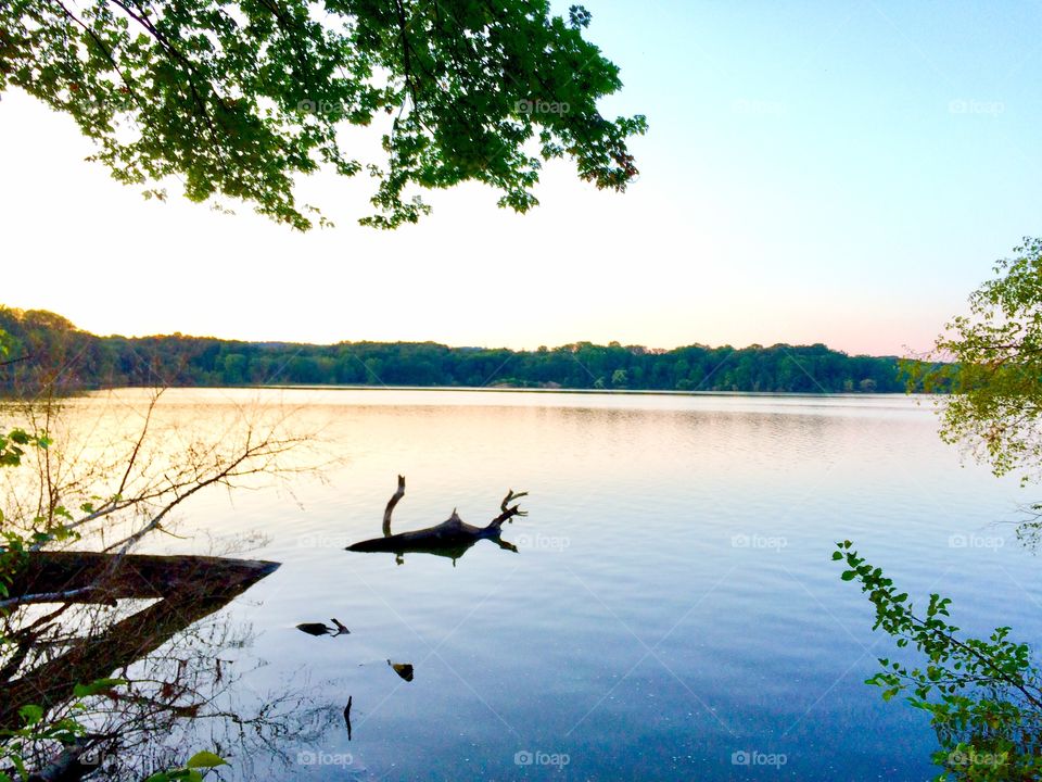 Lake scene, scenic photography, landscape images, Hamilton scenery, lake images, nature and wildlife, trees, lakeshore