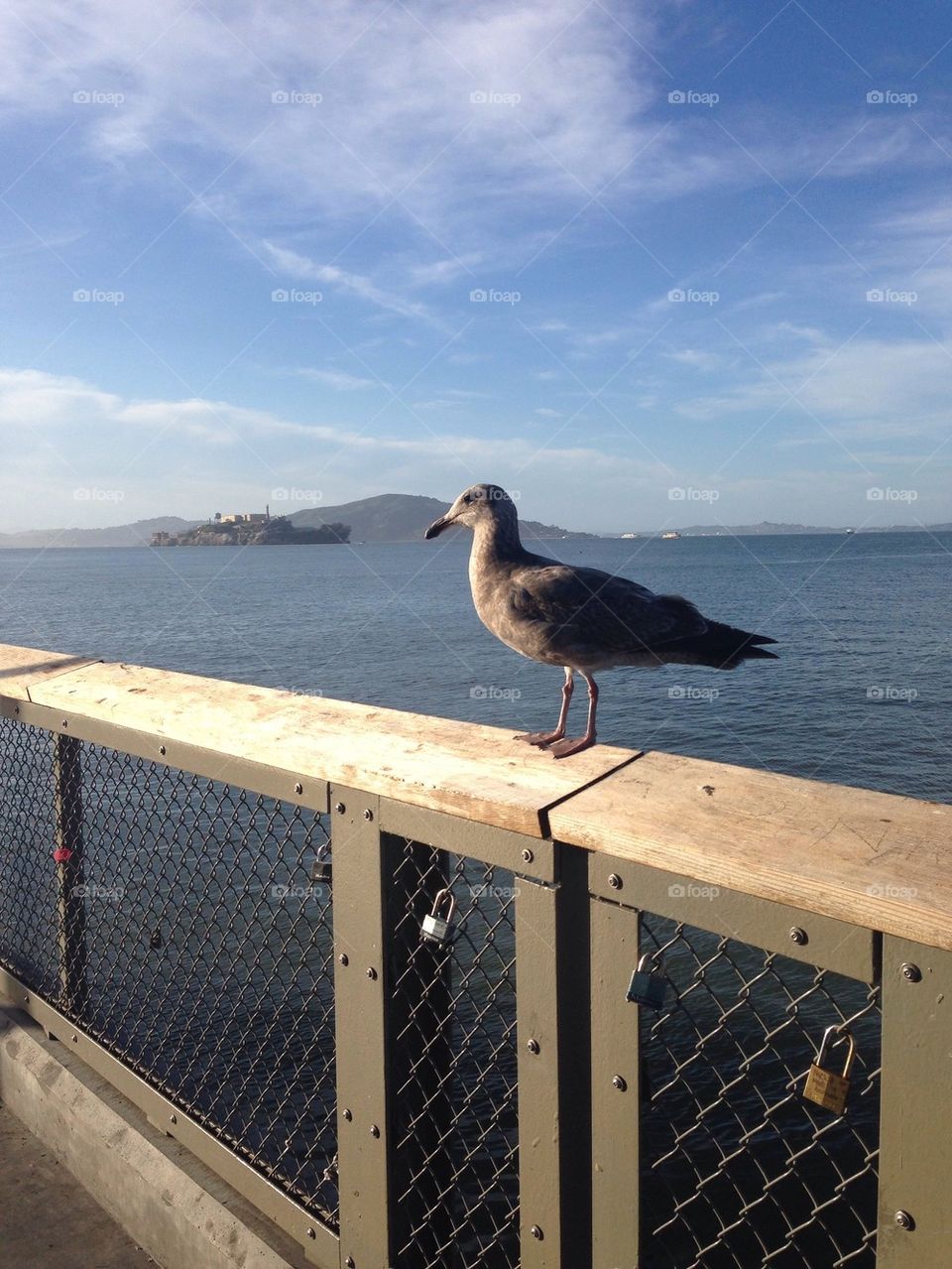 One fine day at Pier 39