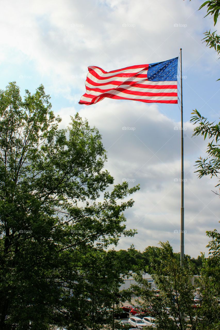 Favorite Flags