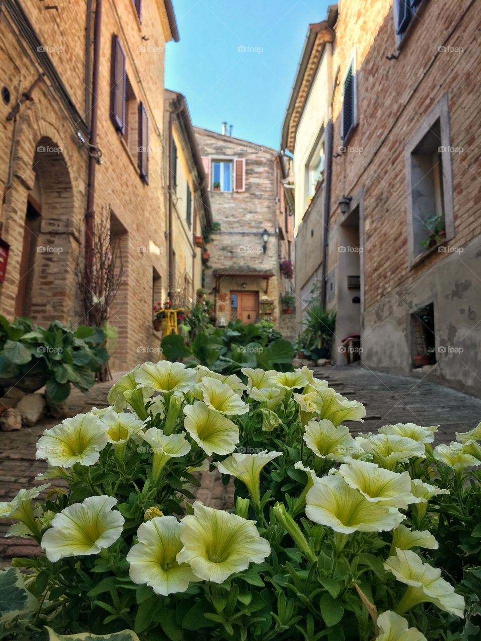 Tuscany & Marche