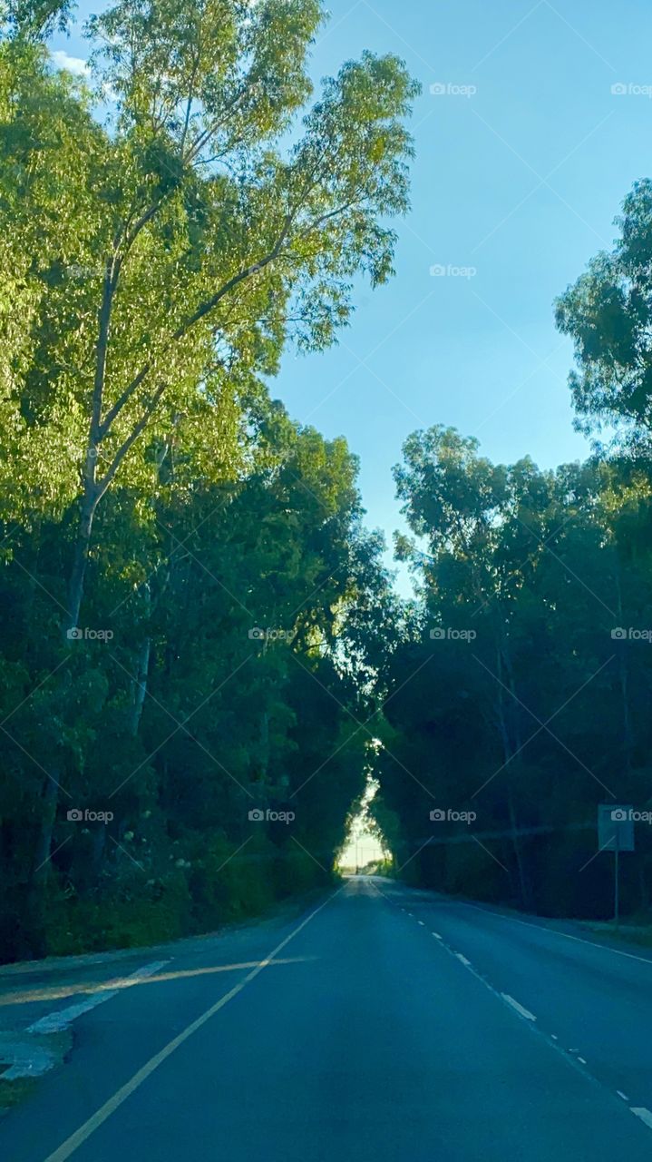 My Magic road trip of my point of view 