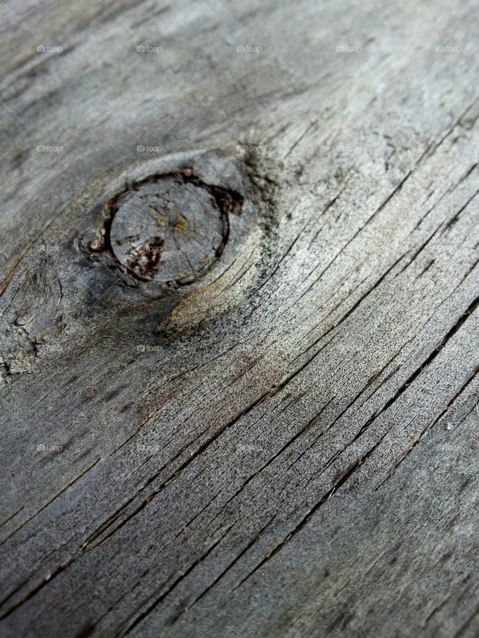 Knot in wood