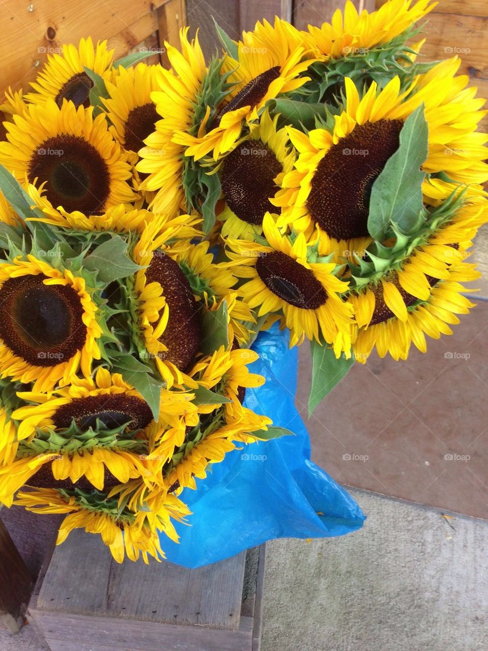 Sunflowers Make Me Smile