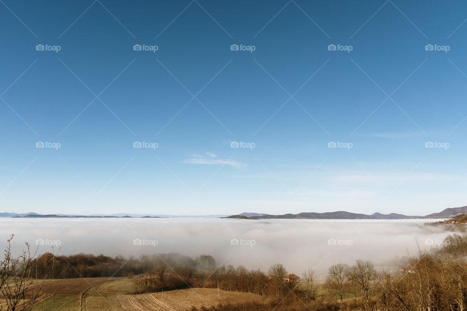 Rural landscape with dense fog
