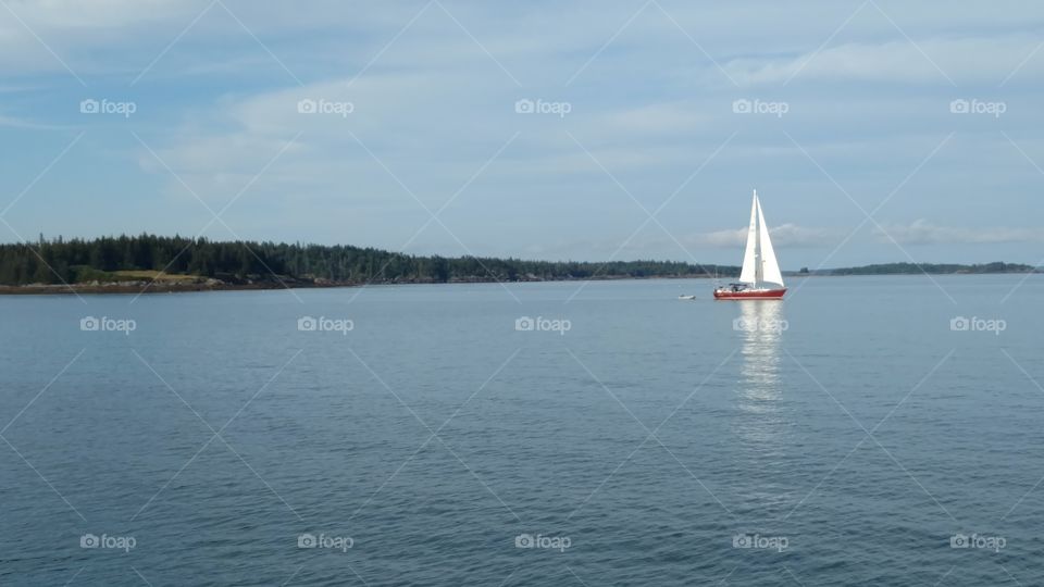 Maine sailboat