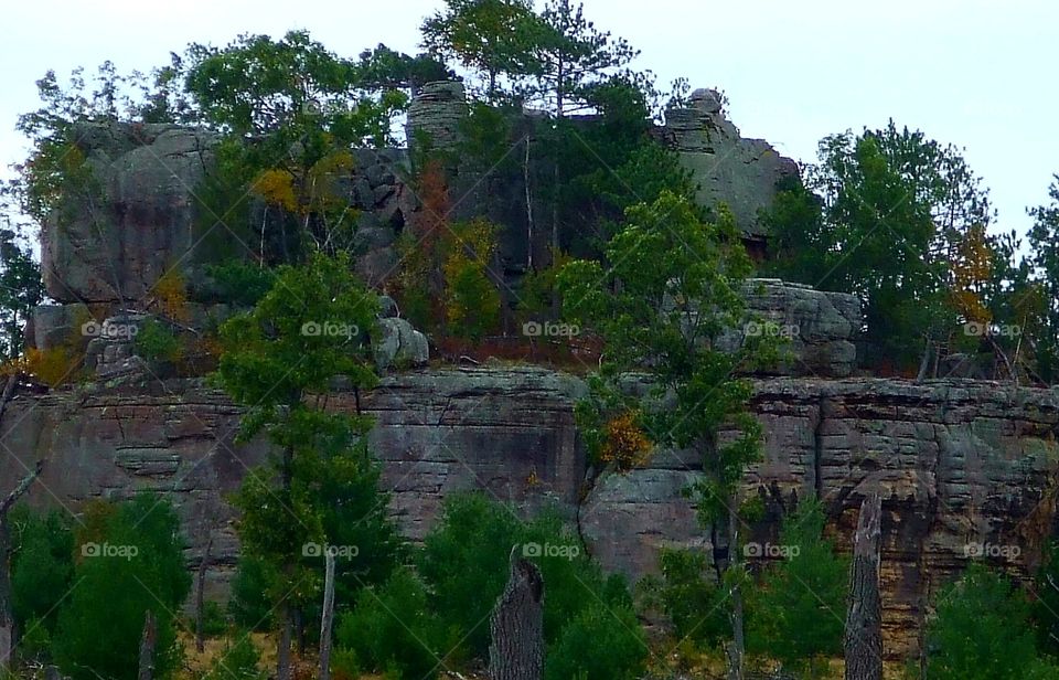 Driving the back roads