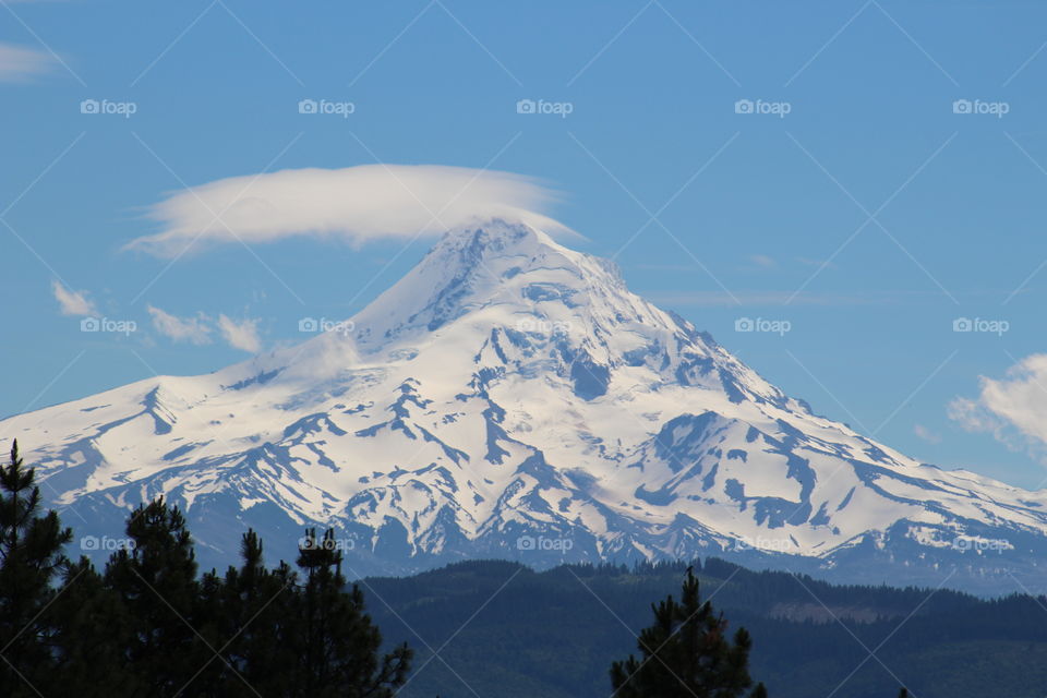 mount hood