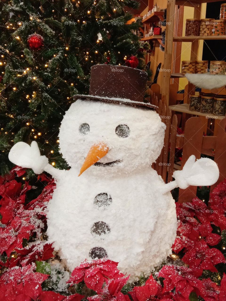 Winter is a season of recovery and preparation