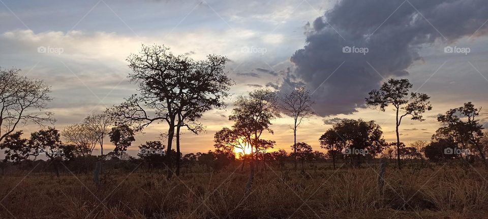 sunset in the hinterland