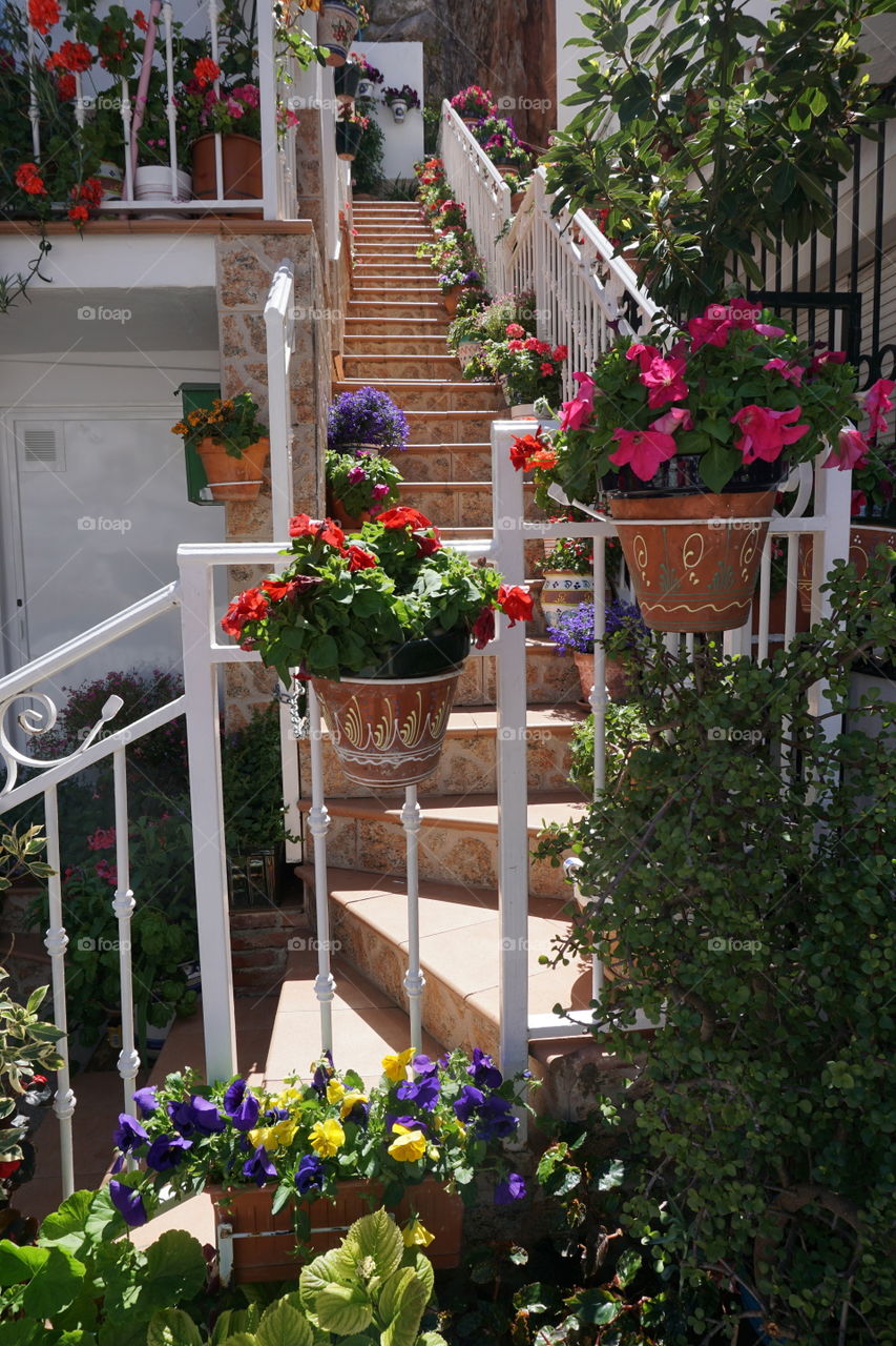 Springtime pot plants decorating a staircase 