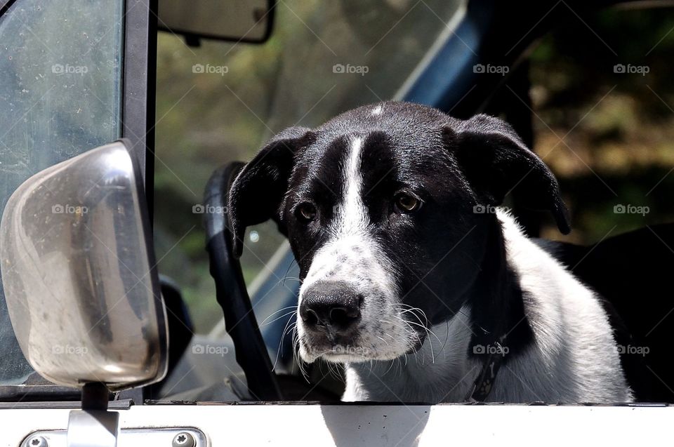 Went with the drive in the countryside 