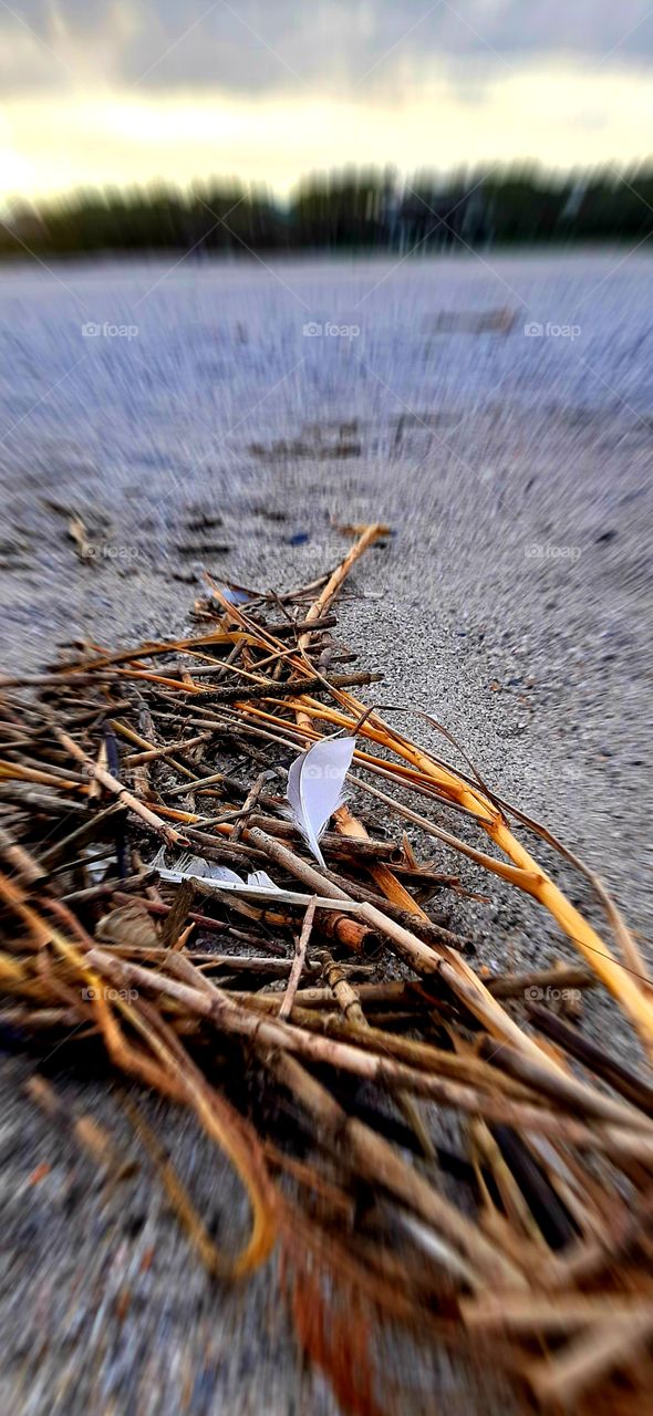 things washed up and things left behind