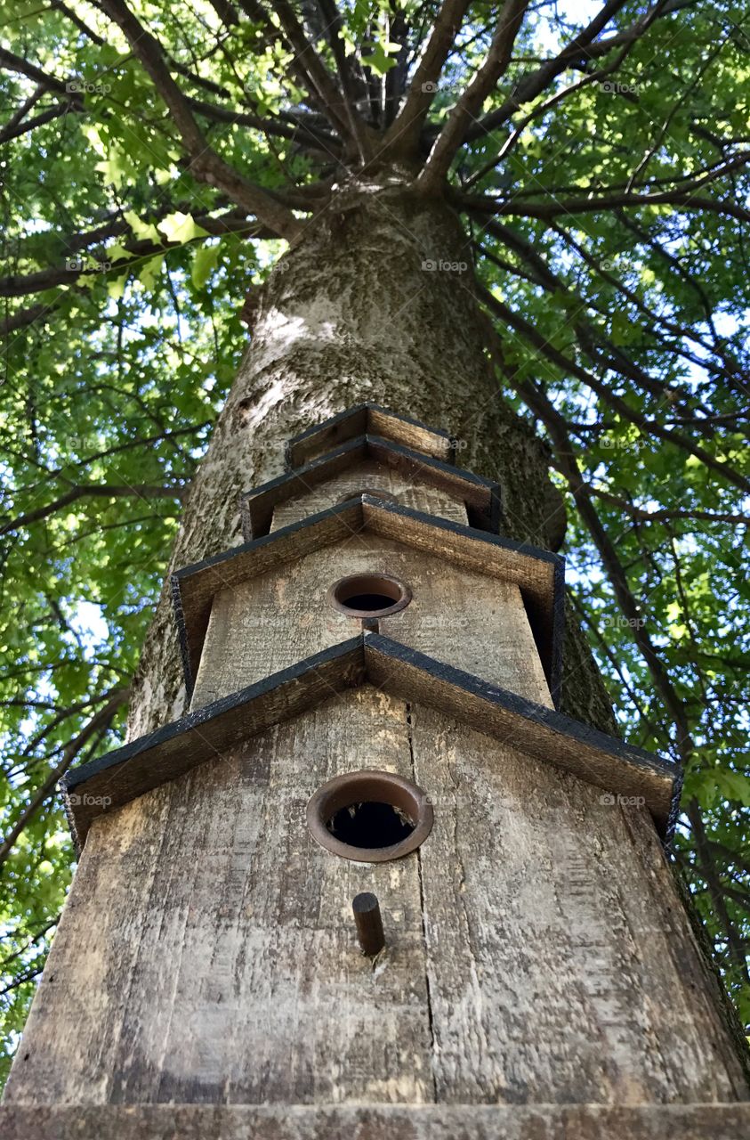 Symmetry everywhere, bird houses 