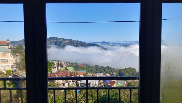Window view
